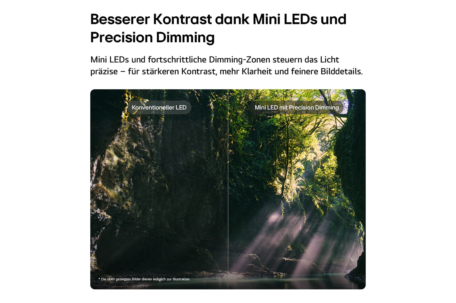 Ein LG QNED evo AI QNED85 Mini LED hebt Mini LED mit Precision Dimming anhand einer geteilten Waldszene hervor und vergleicht herkömmliche LED-Fernsehgeräte mit den tieferen Schwarztönen und dem raffinierteren Kontrast von Mini LED, während Sonnenlicht durch die Bäume fällt, um mehr Klarheit und Tiefe zu erzielen.