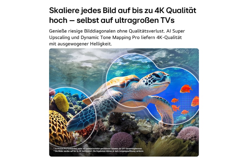 Ein LG QNED evo AI QNED85 Mini LED mit AI Picture Pro und Dynamic Tone Mapping Pro zeigt eine Unterwasserszene, in der eine Meeresschildkröte über Korallen und Fischen schwimmt. Die KI erkennt jedes Einzelbild und skaliert es auf eine Auflösung von bis zu 4K hoch.