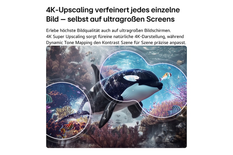 Ein LG QNED evo AI QNED70 Mini LED mit 4K Super Upscaling und Dynamic Tone Mapping zeigt eine Unterwasserszene mit einem schwimmenden Orca, bei der KI jedes Einzelbild erkennt und auf 4K-Auflösung hochskaliert.