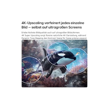 Ein LG QNED evo AI QNED70 Mini LED mit 4K Super Upscaling und Dynamic Tone Mapping zeigt eine Unterwasserszene mit einem schwimmenden Orca, bei der KI jedes Einzelbild erkennt und auf 4K-Auflösung hochskaliert.