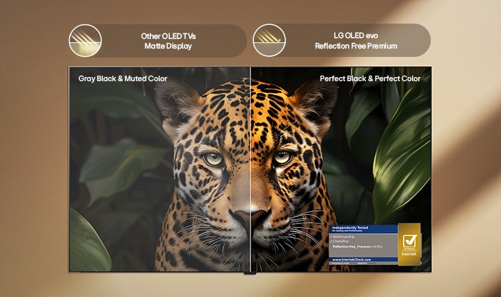 تظهر شاشة تلفزيون LG OLED evo المزودة بتقنية Reflection Free Premium مقارنة بتقسيم الشاشة مع شاشة غير لامعة ومضادة للتوهج، حيث تعرض أسودا مثاليا وألوانا مثالية في صورة فهد بتفاصيل واضحة في البيئات الساطعة، إلى جانب علامة اعتماد Intertek.