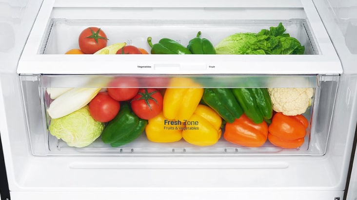 LG refrigerator Fresh Zone drawer storing colorful vegetables like peppers, tomatoes, and lettuce to maintain crisp freshness.	