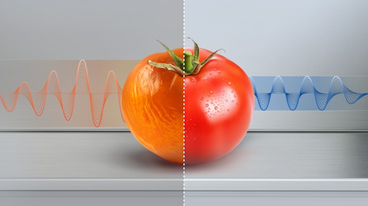 Split image of tomato showing freshness preservation — left wilted, right fresh under stable cooling temperature.	