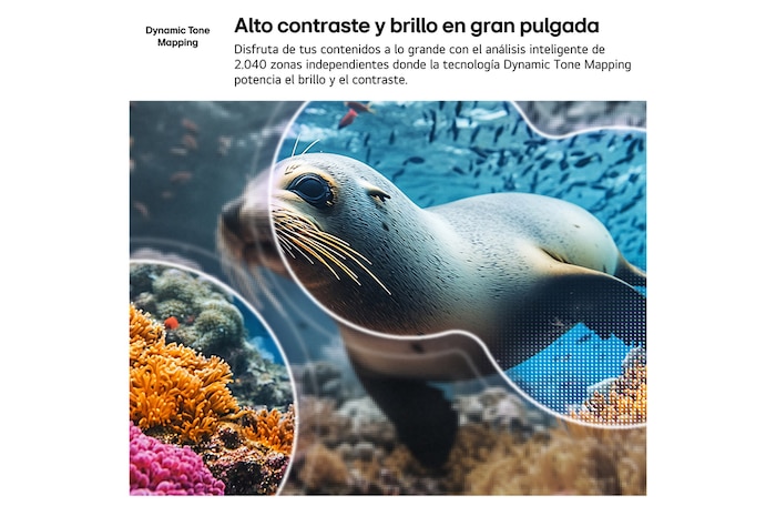 LG NANO 4K UHD AI NU85 with 4K Super Upscaling and Dynamic Tone Mapping shows an underwater scene of a sea lion, as AI recognizes and upscales each frame up to 4K resolution.