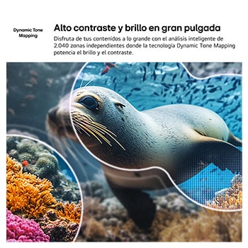 LG NANO 4K UHD AI NU85 with 4K Super Upscaling and Dynamic Tone Mapping shows an underwater scene of a sea lion, as AI recognizes and upscales each frame up to 4K resolution.