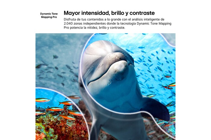 LG NANO 4K UHD AI NU85 with 4K Super Upscaling and Dynamic Tone Mapping shows an underwater scene of a sea lion, as AI recognizes and upscales each frame up to 4K resolution.