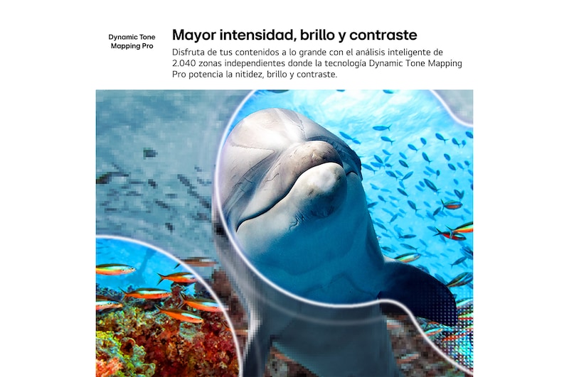 LG NANO 4K UHD AI NU85 with 4K Super Upscaling and Dynamic Tone Mapping shows an underwater scene of a sea lion, as AI recognizes and upscales each frame up to 4K resolution.