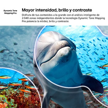 LG NANO 4K UHD AI NU85 with 4K Super Upscaling and Dynamic Tone Mapping shows an underwater scene of a sea lion, as AI recognizes and upscales each frame up to 4K resolution.
