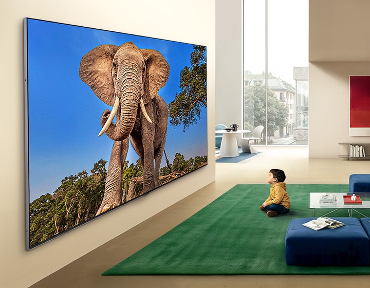 TV de gran pulgada 