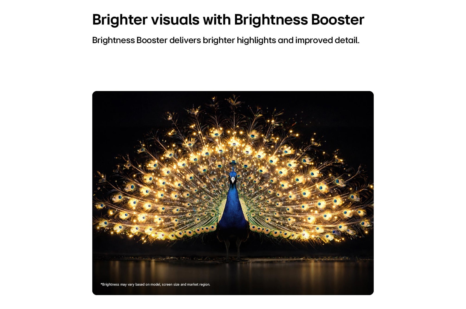 OLED97G6PCA-LG OLED evo AI G6 with Brightness Booster shows a dark scene where a brilliantly illuminated peacock spreads its radiant, glowing feathers, delivering brighter highlights with improved detail and striking contrast.