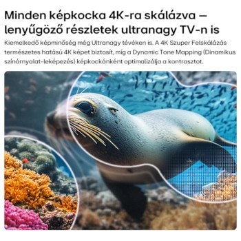  LG NANO 4K UHD AI NU85 AI Szuper Felskálázás és Dynamic Tone Mapping Pro-val , 4K‑ra felskálázott oroszlánfókás jelenet