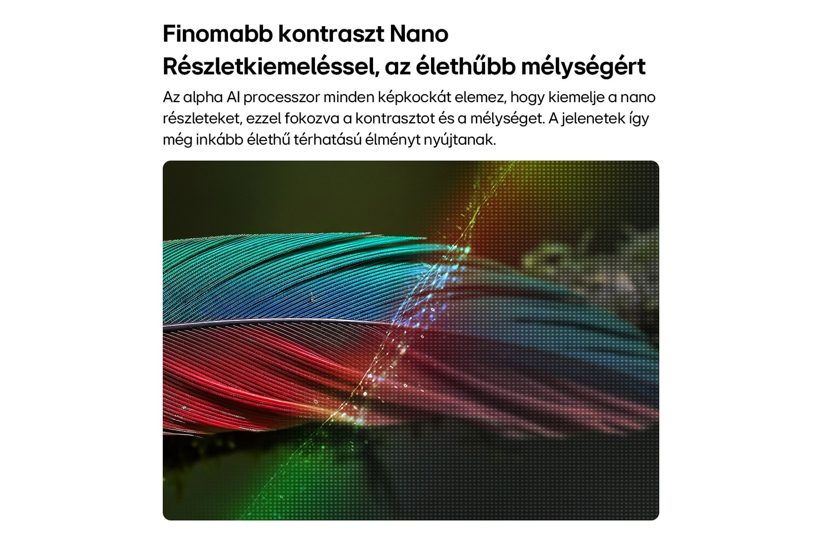 Az LG NANO 4K UHD AI NU8 Nano Részletkiemeléssel megjelenített madártoll. Az alpha AI processzor tiszta, 4K képet biztosít.