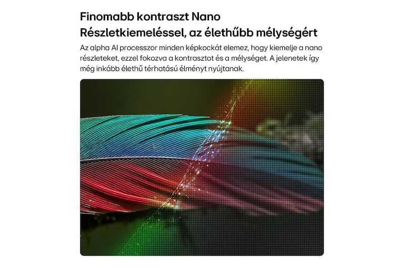 Az LG NANO 4K UHD AI NU8 Nano Részletkiemeléssel megjelenített madártoll. Az alpha AI processzor tiszta, 4K képet biztosít.