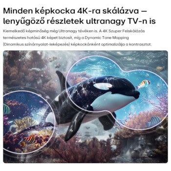 LG QNED70 Mini LED TV 4K Szuper Felskálázással orka korallzátony felett, élénk részletekkel