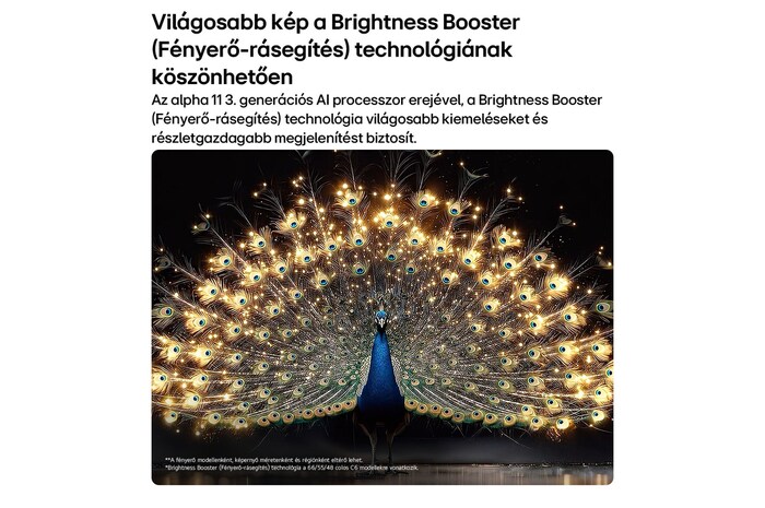 Világosabb kép a Brightness Booster (Fényerő-rásegítés) technológiának köszönhetően LG OLED evo AI C6 Smart tévén.