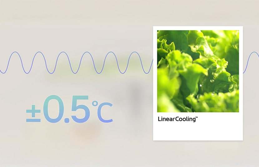 LG Refrigerator with LinearCooling technology maintaining consistent temperature for freshness.