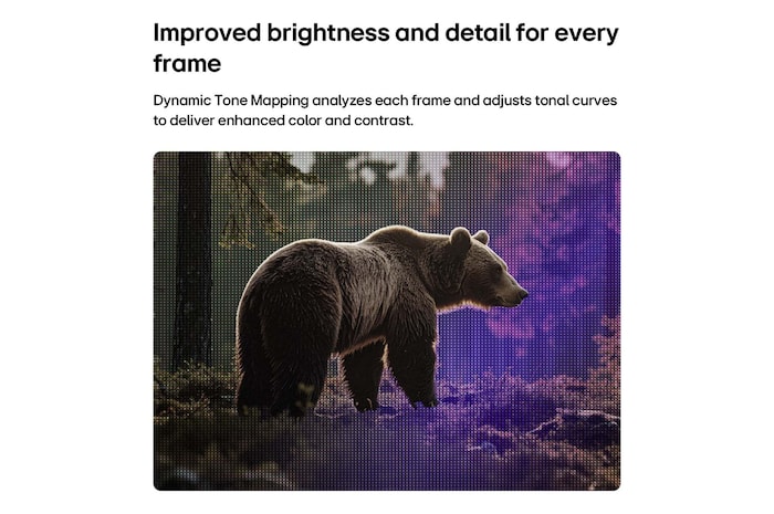 LG SMART TV AI LB65 FHD TV with Dynamic Tone Mapping enhances a forest bear scene by analyzing tonal curves frame by frame, delivering richer textures with improved color contrast and visual clarity.
