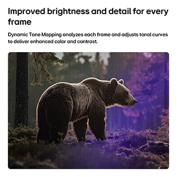 LG SMART TV AI LB65 FHD TV with Dynamic Tone Mapping enhances a forest bear scene by analyzing tonal curves frame by frame, delivering richer textures with improved color contrast and visual clarity.