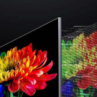 LG Micro RGB evo AI MRGB95, powered by RGB Primary Color Ultra, shows a flower image on the screen, with precisely controlled red, green, and blue light from distinct Micro RGB AI engines for vivid, accurate color.