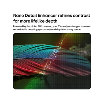 LG NANO 4K UHD AI NU85 with Nano Detail Enhancer shows a feather image, powered by the alpha AI Processor that detects fine textures to enhance contrast and depth and deliver a clearer, more three-dimensional 4K picture.