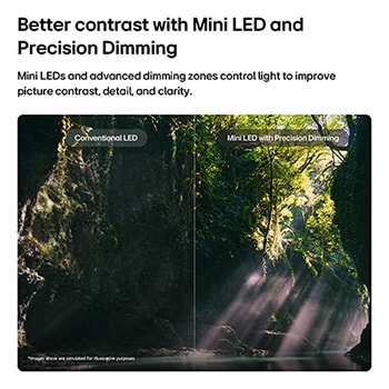 LG QNED evo AI QNED85 Mini LED highlights Mini LED with Precision Dimming in a split forest scene, comparing conventional LED with deeper blacks and more refined contrast as sunlight filters through the trees for greater clarity and depth.