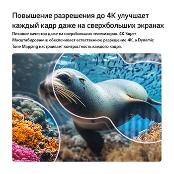 LG NANO 4K UHD AI NU85 с технологиями 4K Super Upscaling и Dynamic Tone Mapping показывает подводную сцену с морским львом, а ИИ распознает и масштабирует каждый кадр до разрешения 4K.