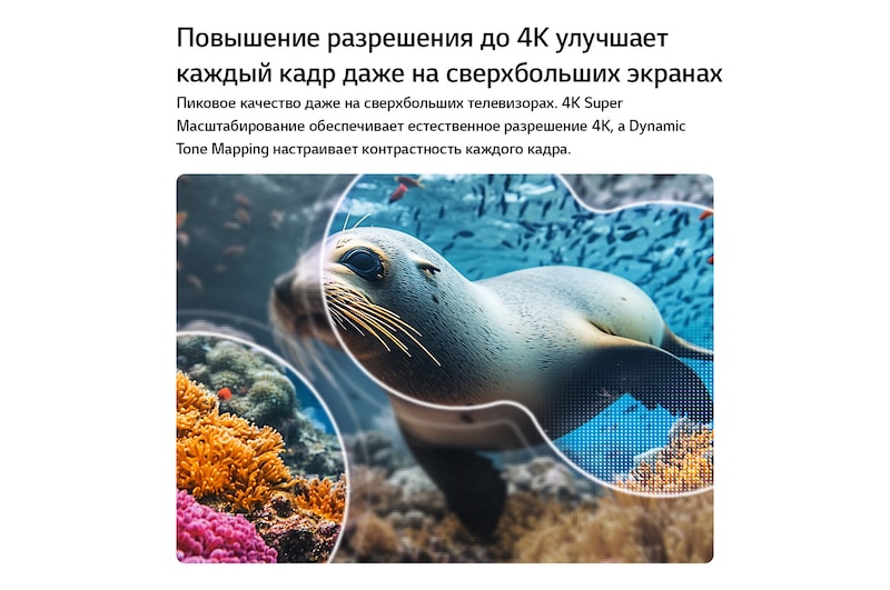 LG NANO 4K UHD AI NU85 с технологиями 4K Super Upscaling и Dynamic Tone Mapping показывает подводную сцену с морским львом, а ИИ распознает и масштабирует каждый кадр до разрешения 4K.