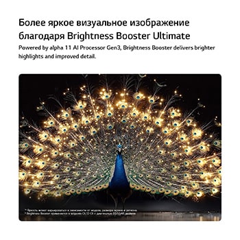 LG OLED evo AI C6 с технологией Brightness Booster показывает темную сцену, где ярко освещенный павлин распускает светящиеся перья, с более яркими светлыми участками с улучшенной детализацией и поразительным контрастом.