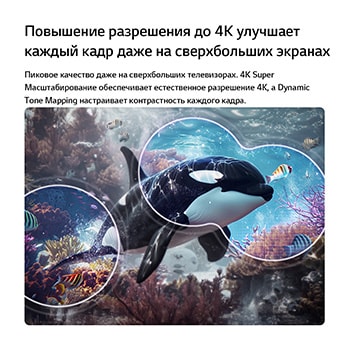 LG QNED evo AI QNED80 Mini LED с технологиями 4K Super Upscaling и Dynamic Tone Mapping показывает подводную сцену с плывущей косаткой, а ИИ распознает изображение и масштабирует каждый кадр до разрешения 4K.