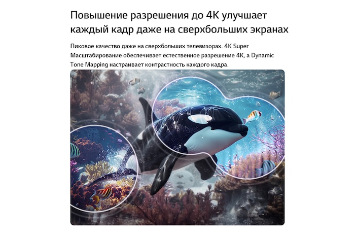 LG QNED evo AI QNED80 Mini LED с технологиями 4K Super Upscaling и Dynamic Tone Mapping показывает подводную сцену с плывущей косаткой, а ИИ распознает изображение и масштабирует каждый кадр до разрешения 4K.