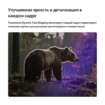 Телевизор LG SMART TV AI LB65 FHD с технологией Dynamic Tone Mapping оптимизирует сцену с медведем в лесу, анализируя тональные кривые кадр за кадром, обеспечивая более богатые текстуры с улучшенным цветовым контрастом и визуальной четкостью.