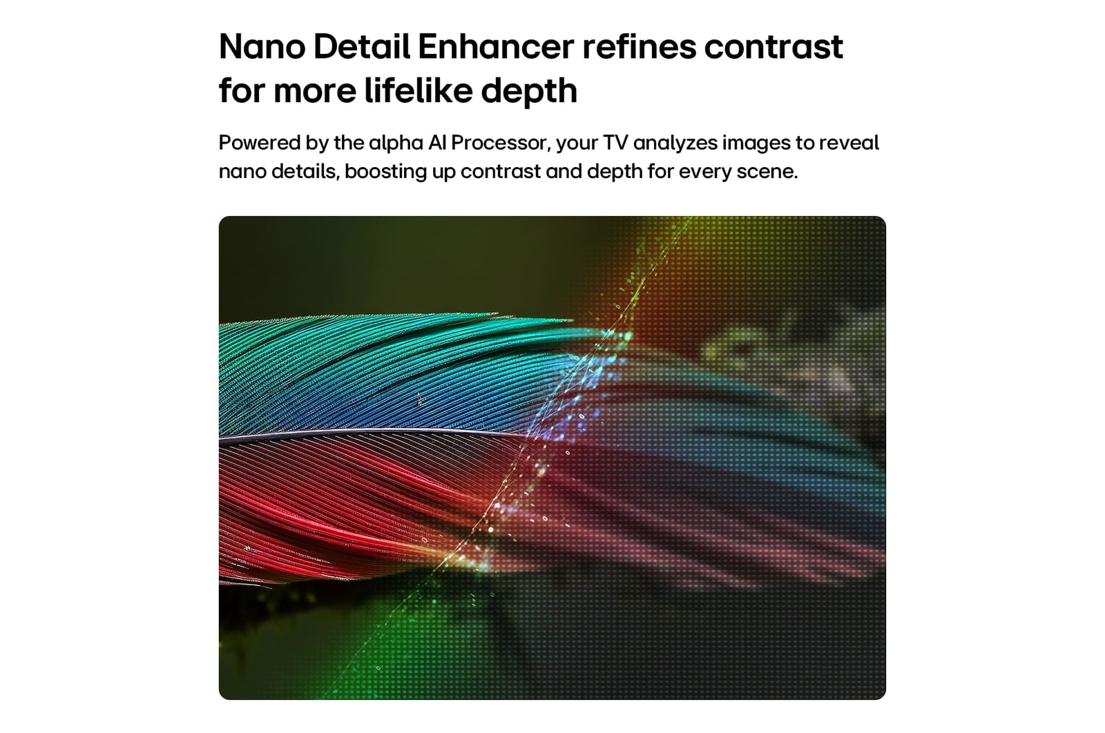 LG NANO 4K UHD AI NU85 с технологией Nano Detail Enhancer демонстрирует изображение пера, при этом интеллектуальный процессор alpha распознает тонкие текстуры для улучшения контрастности и глубины, обеспечивая более четкое и объемное изображение 4K.