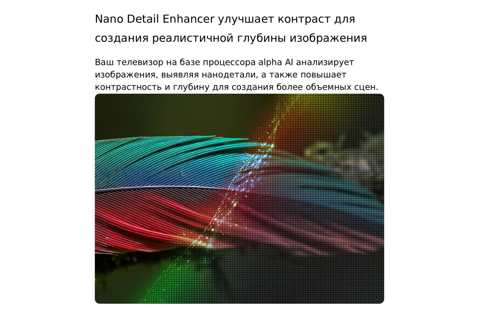 LG NANO 4K UHD AI NU85 с технологией Nano Detail Enhancer демонстрирует изображение пера, при этом интеллектуальный процессор alpha распознает тонкие текстуры для улучшения контрастности и глубины, обеспечивая более четкое и объемное изображение 4K.