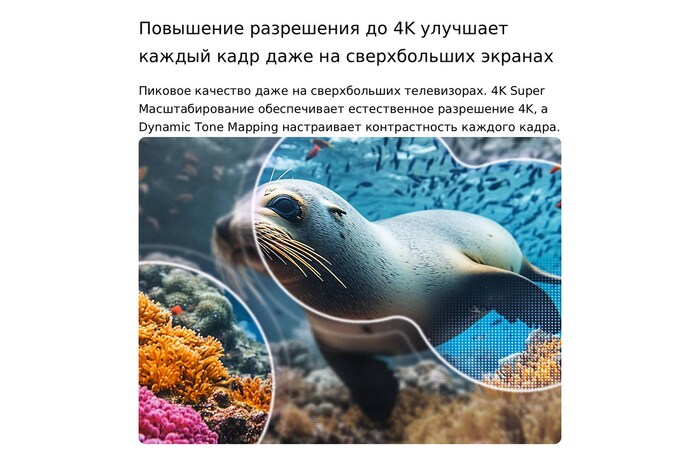 LG NANO 4K UHD AI NU85 с технологиями 4K Super Upscaling и Dynamic Tone Mapping показывает подводную сцену с морским львом, а ИИ распознает и масштабирует каждый кадр до разрешения 4K.