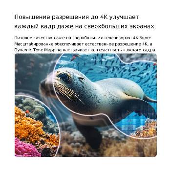 LG NANO 4K UHD AI NU85 с технологиями 4K Super Upscaling и Dynamic Tone Mapping показывает подводную сцену с морским львом, а ИИ распознает и масштабирует каждый кадр до разрешения 4K.