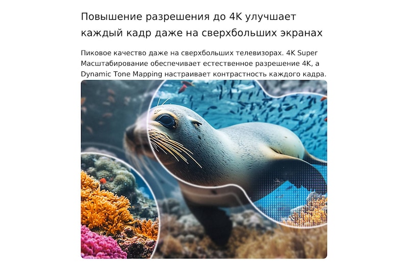LG NANO 4K UHD AI NU85 с технологиями 4K Super Upscaling и Dynamic Tone Mapping показывает подводную сцену с морским львом, а ИИ распознает и масштабирует каждый кадр до разрешения 4K.