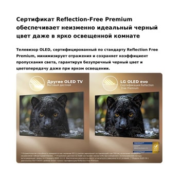 LG OLED evo AI G6 с технологией Reflection Free Premium демонстрирует сравнение бок о бок с матовым дисплеем Anti-Glare, сохраняя изображение черного ягуара четким с глубоким черным цветом и тонкой текстурой, особенно в яркой обстановке, с отображением знака сертификации Intertek.