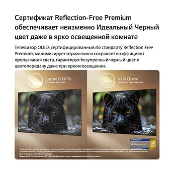 LG OLED evo AI W6 Wallpaper TV with Reflection Free Premium shows a side-by-side comparison against an anti-glare matte display, keeping the black jaguar image clear with deep blacks and fine texture, especially in bright environments, with an Intertek certification mark shown.