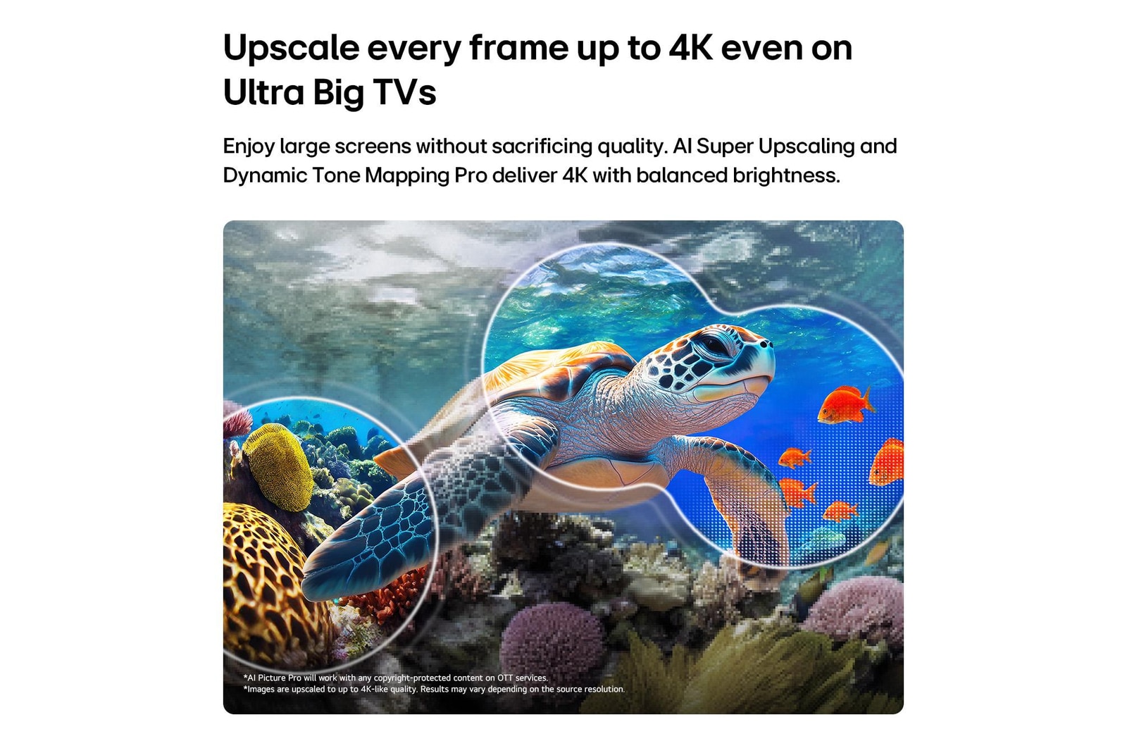 LG QNED evo AI QNED85 Mini LED с функциями AI Picture Pro и Dynamic Tone Mapping Pro показывает подводную сцену с морской черепахой, плывущей над кораллами, и рыбами, а ИИ распознает и масштабирует каждый кадр до разрешения 4K.