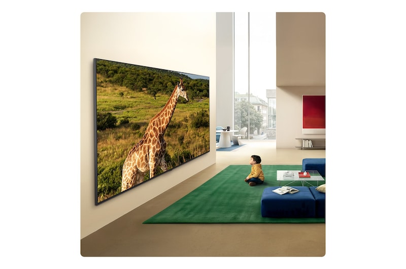 Сверхбольшой телевизор LG QNED evo AI QNED85 Mini LED закреплен на стене в светлой гостиной, на экране жираф в природном ландшафте с яркими деталями, подчеркивающими иммерсивный масштаб и эффект присутствия для ребенка, сидящего напротив.
