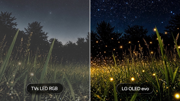 Le téléviseur LG OLED evo affiche une scène extérieure à écran partagé qui passe du jour à la nuit, comparant les TV LED RGB avec le LG OLED evo. La LG OLED evo maintient une luminosité précise afin de mettre en valeur jusqu’aux plus petits points de lumière, tandis que les TV LED RGB perdent des nuances de lumière dans les scènes sombres. Le téléviseur LG OLED evo affiche une scène extérieure à écran partagé qui passe du jour à la nuit, comparant les TV LED RGB avec le LG OLED evo. La LG OLED evo maintient une luminosité précise afin de mettre en valeur jusqu’aux plus petits points de lumière, tandis que les TV LED RGB perdent des nuances de lumière dans les scènes sombres.