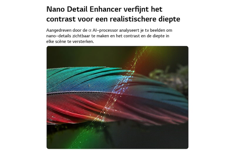 Een LG NANO 4K UHD AI NU80 met Nano Detail Enhancer toont een afbeelding van een veer, aangedreven door de alpha AI-processor die fijne texturen detecteert om het contrast en de diepte te verbeteren en een duidelijker, meer driedimensionaal 4K-beeld te leveren.
