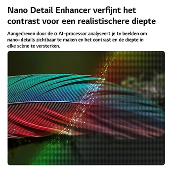 Een LG NANO 4K UHD AI NU80 met Nano Detail Enhancer toont een afbeelding van een veer, aangedreven door de alpha AI-processor die fijne texturen detecteert om het contrast en de diepte te verbeteren en een duidelijker, meer driedimensionaal 4K-beeld te leveren.
