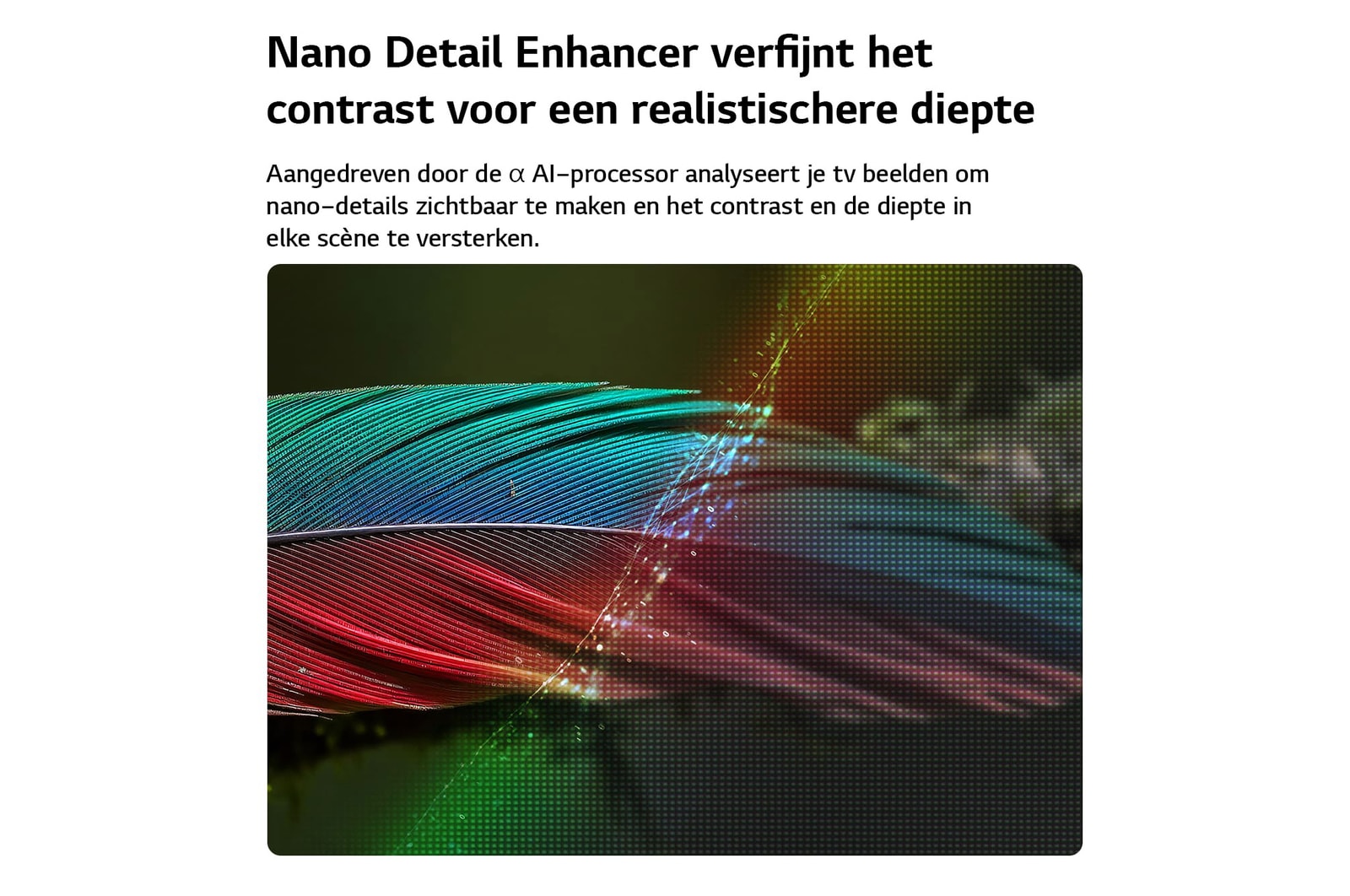 LG NANO 4K UHD AI NU90 met Nano Detail Enhancer toont een veerbeeld, aangedreven door de alpha AI Processor die fijne texturen detecteert om het contrast en de diepte te verbeteren en een helderder, meer driedimensional 4K-beeld te leveren.