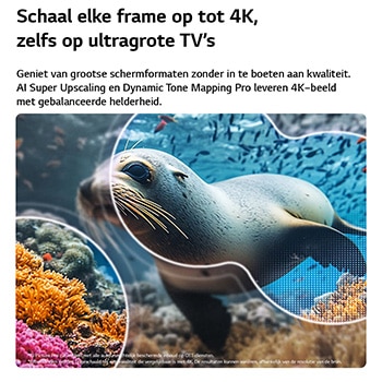 LG NANO 4K UHD AI NU90 met 4K Super Upscaling en Dynamic Tone Mapping toont een onderwaterscène van een zeeleeuw, terwijl AI elk frame herkent en opschaalt tot 4K-resolutie.