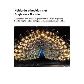 Een LG OLED evo AI C6 met Brightness Booster toont een donkere scène waarin een schitterend verlichte pauw zijn stralende, gloeiende veren spreidt, met helderdere hooglichten, verbeterde details en een opvallend contrast.