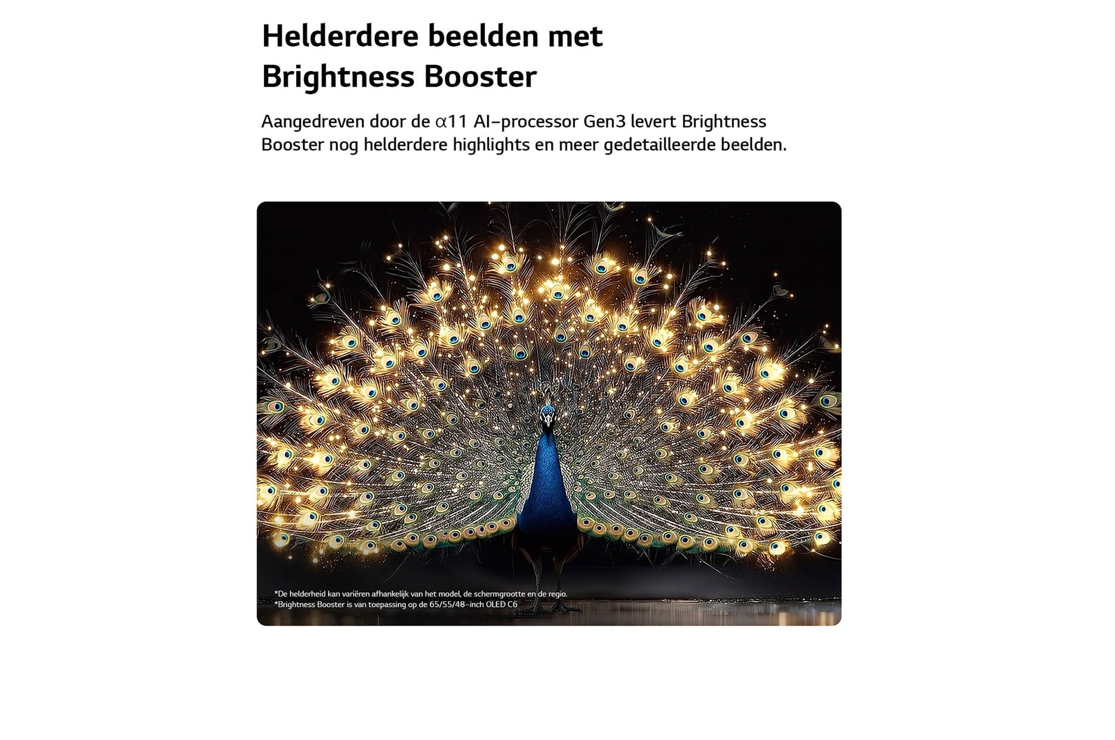 Een LG OLED evo AI C6 met Brightness Booster toont een donkere scène waarin een schitterend verlichte pauw zijn stralende, gloeiende veren spreidt, met helderdere hooglichten, verbeterde details en een opvallend contrast.
