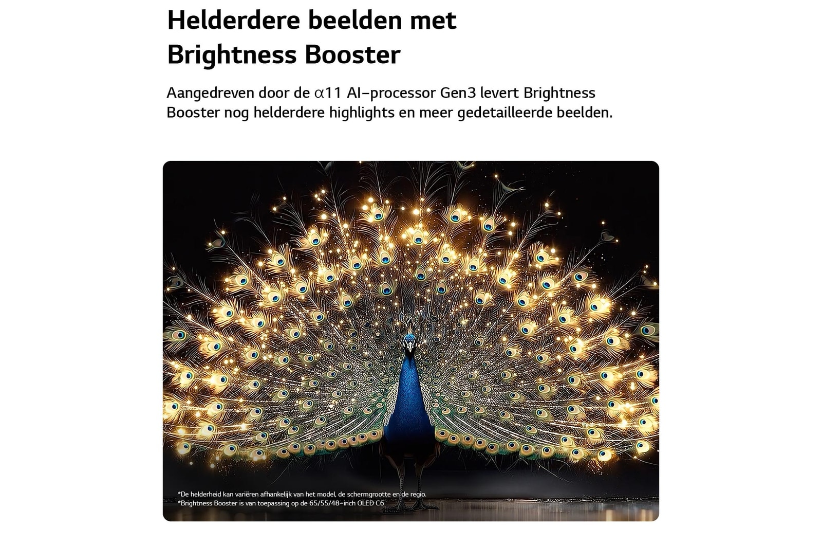 Een LG OLED evo AI C6 met Brightness Booster toont een donkere scène waarin een schitterend verlichte pauw zijn stralende, gloeiende veren spreidt, met helderdere hooglichten, verbeterde details en een opvallend contrast.