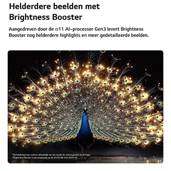 Een LG OLED evo AI C6 met Brightness Booster toont een donkere scène waarin een schitterend verlichte pauw zijn stralende, gloeiende veren spreidt, met helderdere hooglichten, verbeterde details en een opvallend contrast.