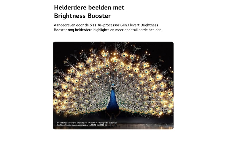 Een LG OLED evo AI C6 met Brightness Booster toont een donkere scène waarin een schitterend verlichte pauw zijn stralende, gloeiende veren spreidt, met helderdere hooglichten, verbeterde details en een opvallend contrast.